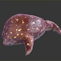 Colorful Reptile 3D Model With Red Body Yellow Spots And Textured Skin