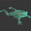 3D Model of a Brown and Yellow Toad with Red Eyes Crawling on Dark Surface