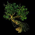 Realistic Arbor With Thick Trunk Twisted Branches Lush Green Leaves And Prominent Roots