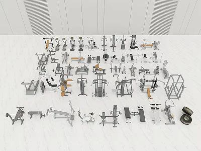 Essential Sports Equipment For Home Gym Workout Including Dumbbells Treadmills And Fitness Machines 3d model