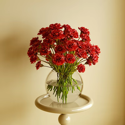Red Carnations in Clear Glass Vase with White Round Base on Beige Background 3d model