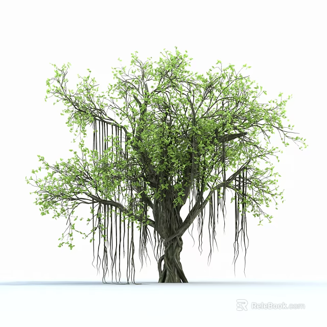 Lush Green Arbor with Aerial Roots and Thick Trunk on White Background 3d model 
