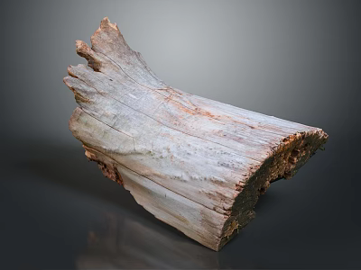 Natural Wooden Log Section With Rough Surface Visible Growth Rings And Grain Patterns 3d model