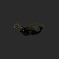 Anglerfish with Large White Eye Open Mouth Sharp Teeth and Green Body in Deep Sea