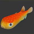 Vibrant Red And Yellow Pufferfish With Blue Eyes And Red Spots On Smooth Body