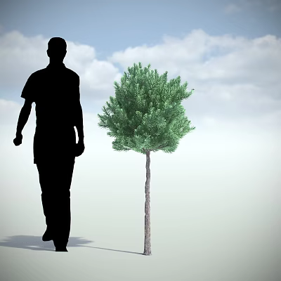 Lush Evergreen Tree Standing Beside Walking Person Under Blue Sky With Clouds 3d model