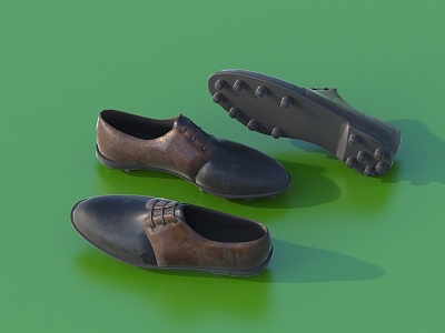 Shoes, leather shoes, daily necessities 3d model