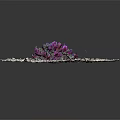 Purple Flowers Growing In Gravel With Green Leaves And Small Stones