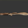 Brown Tadpole With Textured Body Large Head And Slender Tail On Dark Background