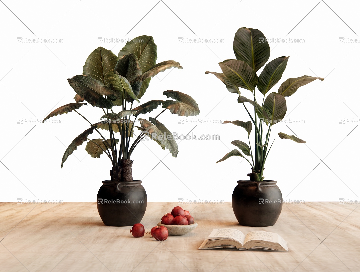 Potting Green Plant Books model