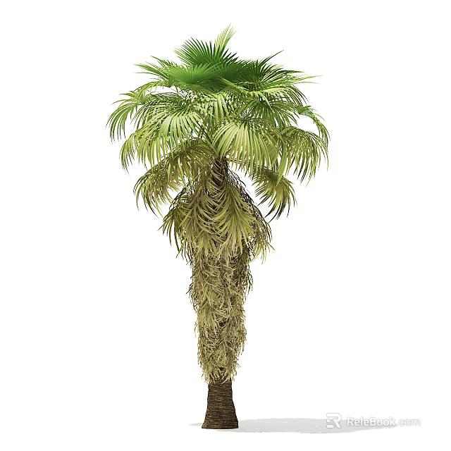 Lush Palm Tree Featuring Green Feathery Fronds And Brown Fibrous Trunk 3d model 