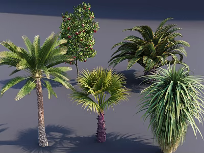 Different Kinds of Trees Featuring Palm Trees and Fruit Bearing Tree With Lush Green Foliage 3d model