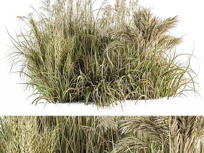 plant pile green plant potted plant green plant 3d model