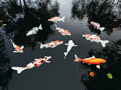 Colorful Koi Fish in Garden Pond Decor with Water Reflections and Fallen Leaves 3d model