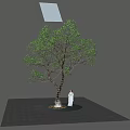 Decorative String Lights Wrapped Around Tree for Day and Night Ambiance