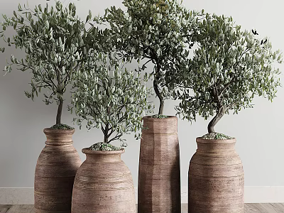 Indoor Bonsai Olive Trees with Green Foliage in Terracotta Planters for Home Decor 3d model