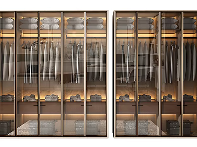 Elegant Modern Wardrobe Interior With Glass Doors Hanging Clothes And Storage 3d model
