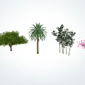 Modern tree modeling tree 3d model