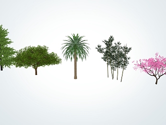 Modern tree modeling tree 3d model