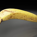 Ripe Yellow Banana with Brown Spots on Dark Background Showing Shiny Reflection