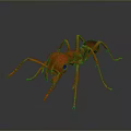 Detailed Red Ant 3D Model With Shiny Exoskeleton And Reflective Surface Rendering 3d model