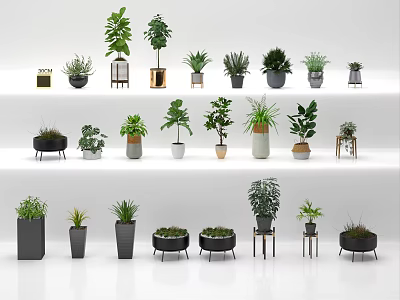 Diverse Bonsai Potted Plants Display on Multi Tiered Shelves with Stylish Pots 3d model