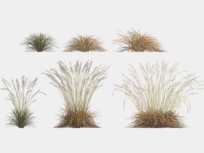 Various Grasses With Different Forms And Natural Colors Showcased In Multiple Clusters 3d model