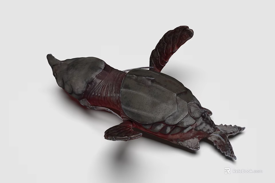 Detailed Aquatic Turtle With Dark Gray Shell Red Textured Flippers And Body 3d model 
