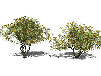 The Modern Tree 3d model