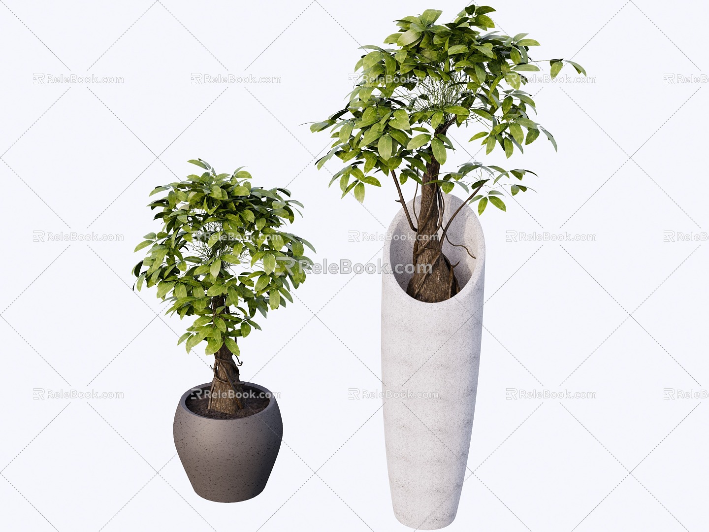 indoor potted plant 3d model