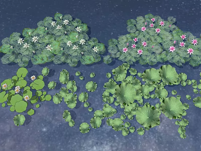 Aquatic Water Plants With Green Leaves White And Pink Flowers Floating On Water Surface 3d model