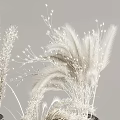 Dark Colored Vases with White Dried Flowers and Elegant Gold Bases