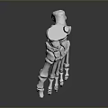 3D Rendered Foot Bone Model As Medical Device For Anatomical Education