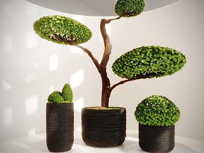 potted plant model