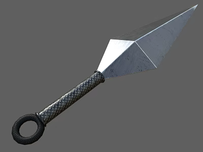 Sharp Metal Dagger With Braided Handle And Ring Pommel Silver Blade Design 3d model
