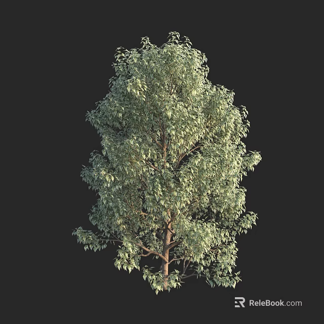 Lush Green Arbor With Dense Foliage And Brown Trunk Isolated On Black 3d model 