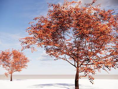 Beautiful Deciduous Trees With Orange Red Leaves Against Blue Sky And Snowy Ground 3d model