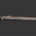 Brown And White Striped Snake Coiled On Smooth Black Surface