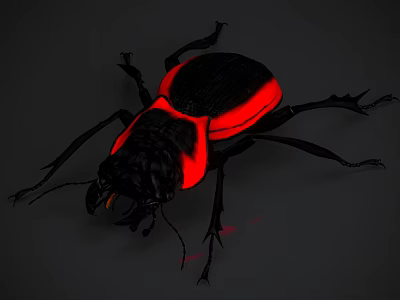 Close Up View Of Shiny Black Flying Beetle With Red Back And Glowing Body 3d model