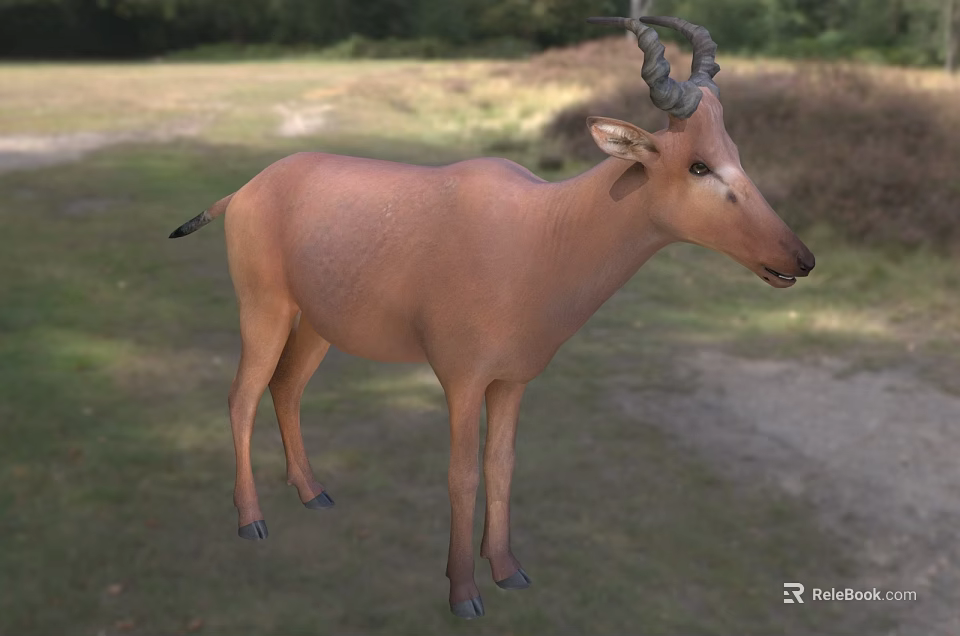 Brown Horned Reptile Standing On Grassland With Natural Habitat Background 3d model 