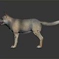 Realistic 3D Dog Puppy Model With Brown Gray Fur Standing On Dark Reflective Background