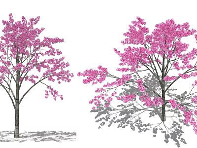Modern Cherry Tree 3d model