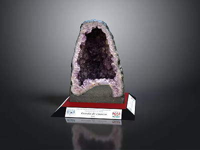 Amethyst Geode With Purple Crystal Interior On Red Display Base And Label 3d model