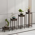 Carved Wooden Plant Stands of Various Heights Display Bonsai Plants Against Light Wall and Floor