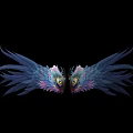 Detailed Symmetrical Wings With Blue Pink Feathers On Black Background