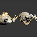 Decorative Seashell Ornament Set With White And Brown Textured Spiked Edges For Home Decor