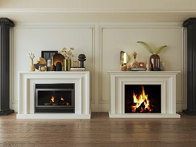 Elegant Living Room With Two Fireplaces And Decorations 3d model