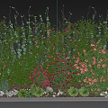 Vine Plants with Green Leaves and Pink Flowers as Vertical Garden Wall Decoration