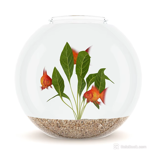 Circular Glass Fish Tank With Red Fish Green Aquatic Plants And Gravel Substrate 3d model 
