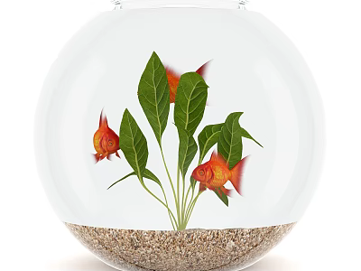 Circular Glass Fish Tank With Red Fish Green Aquatic Plants And Gravel Substrate 3d model